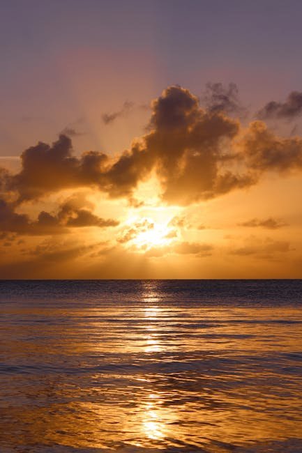Magnifique coucher de soleil doré sur la côte de la Martinique