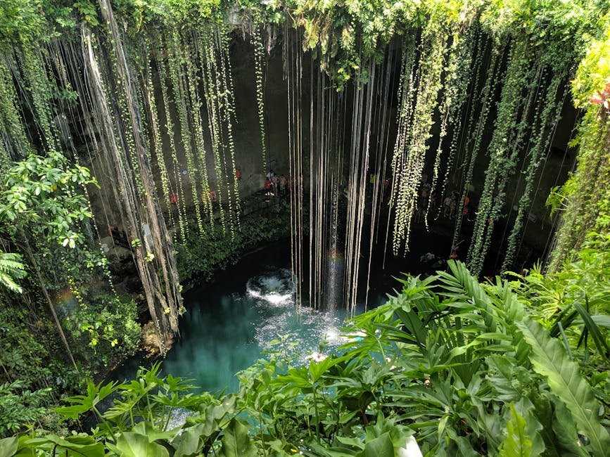 Vue du cenote Ik Kil avec ses lianes et son eau turquoise au Yucatan