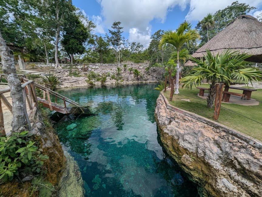 Piscine naturelle entourée de végétation tropicale à Tulum