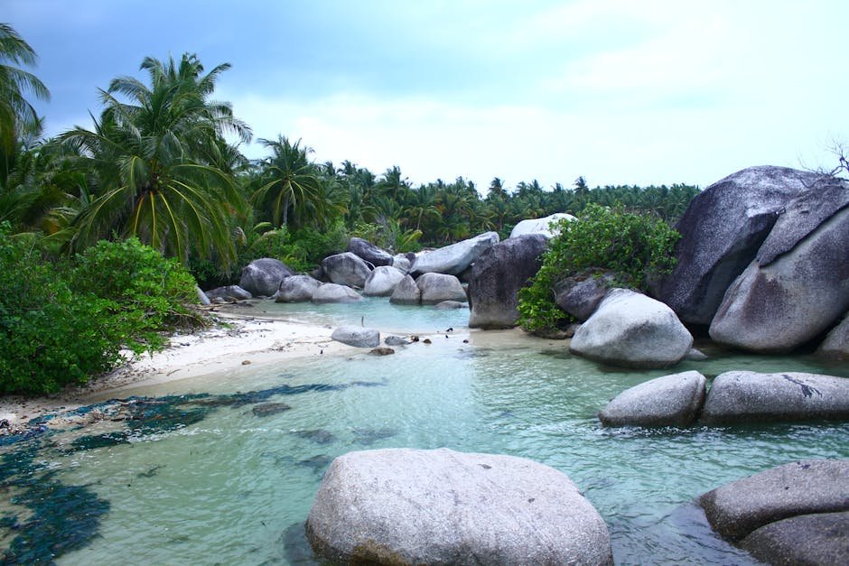 Plage tropicale avec palmiers et rochers de granit en Indonesie