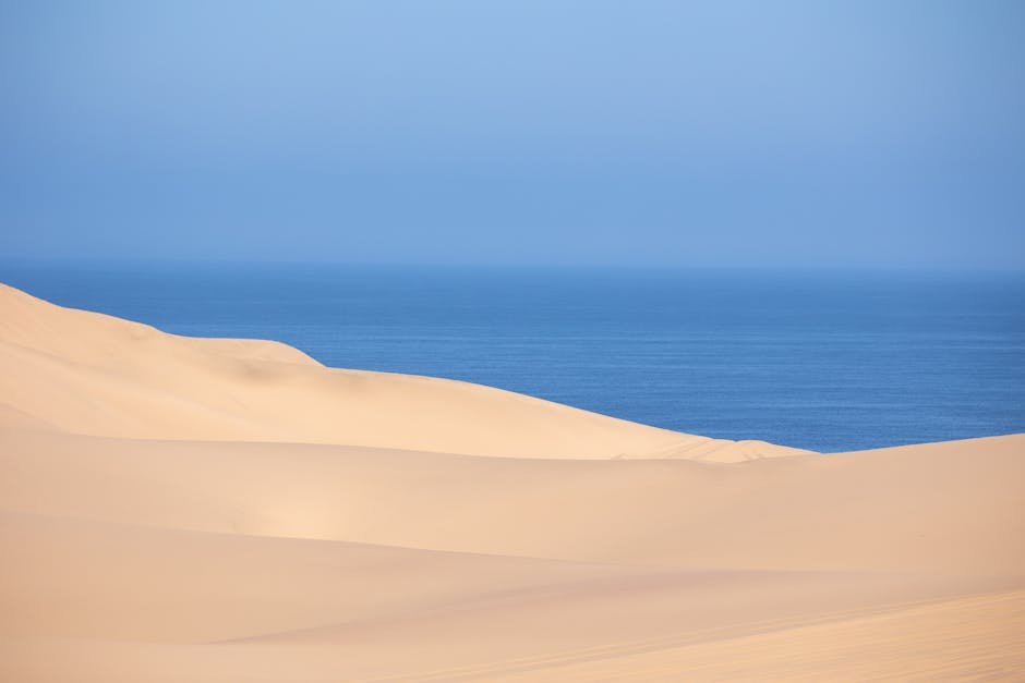 Dunes de sable du Namib plongeant dans l ocean Atlantique