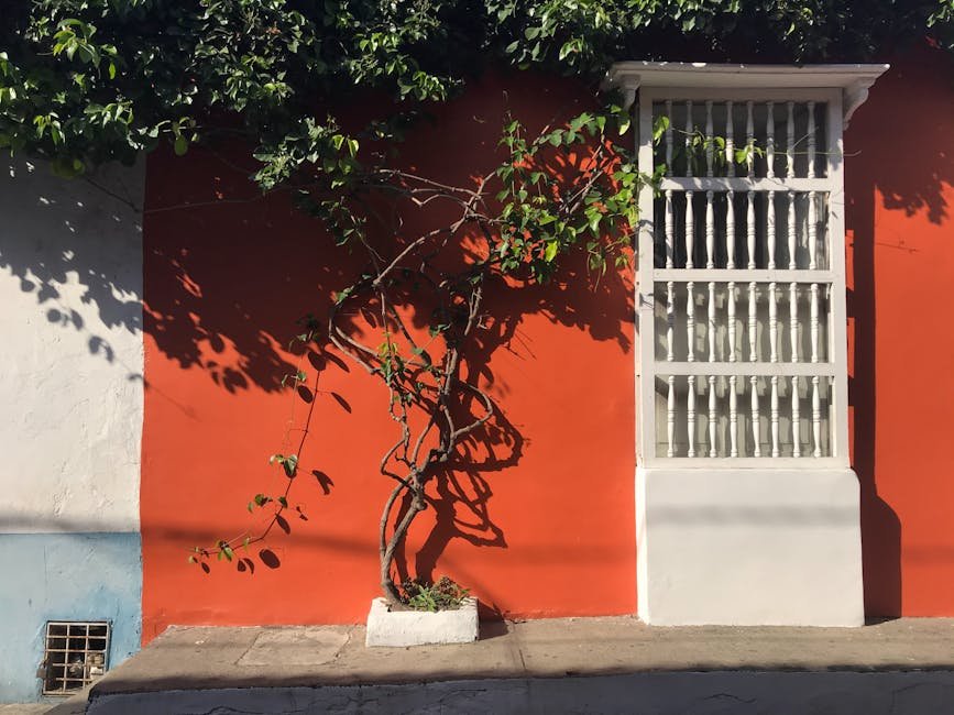 Mur orange vif avec plante à Carthagène