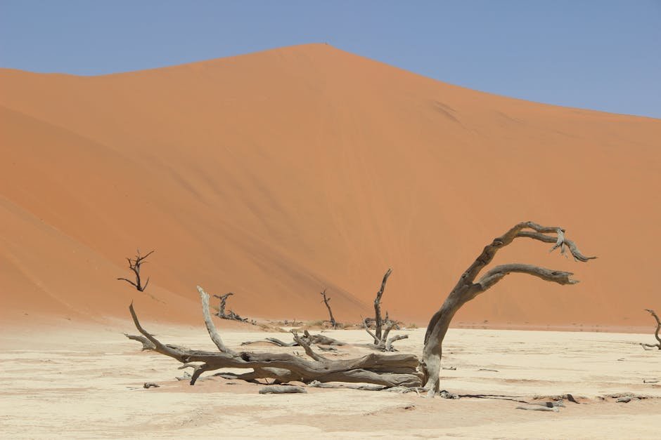 Arbres morts de Deadvlei avec les dunes rouges de Sossusvlei en arriere-plan