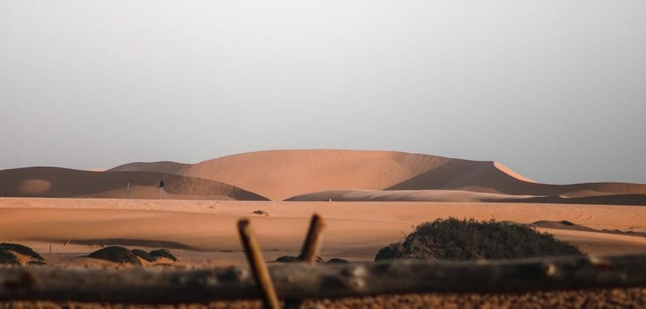Road trip en Namibie : 10 jours entre dunes géantes et safaris sans touristes