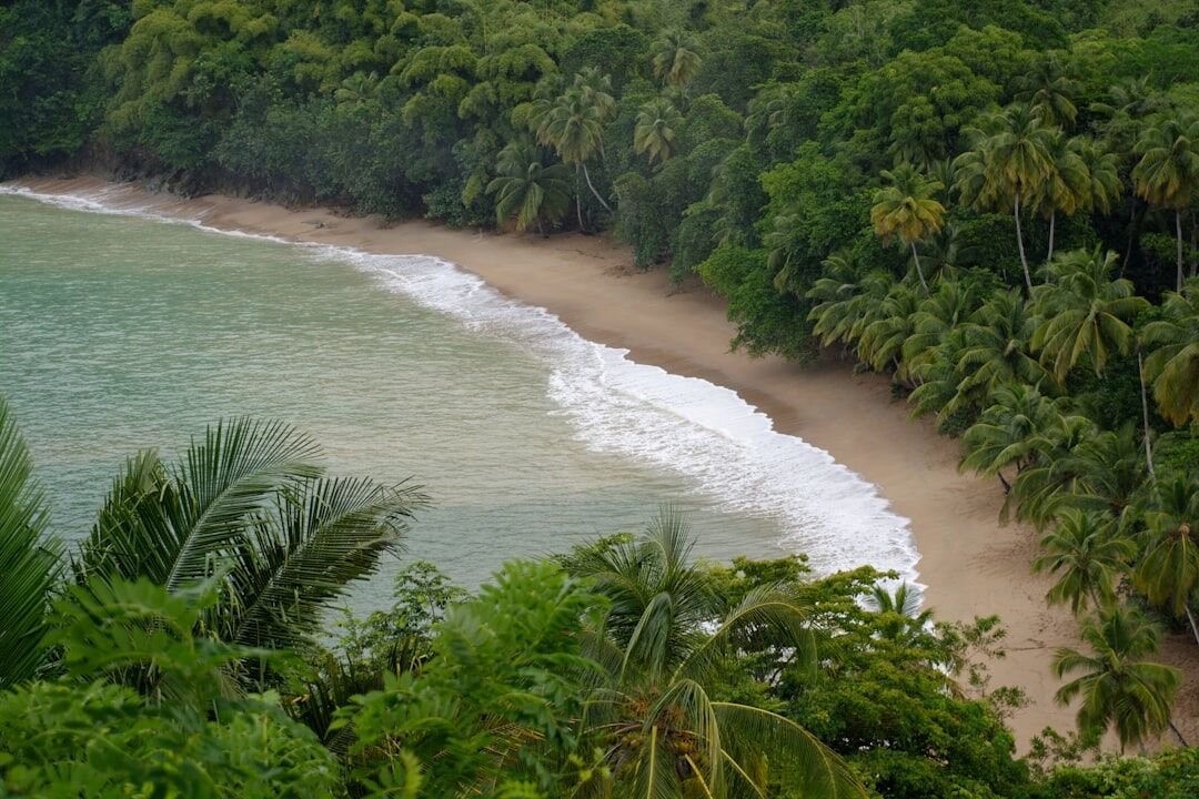 Plage cachée entourée de végétation tropicale luxuriante dans les Caraïbes