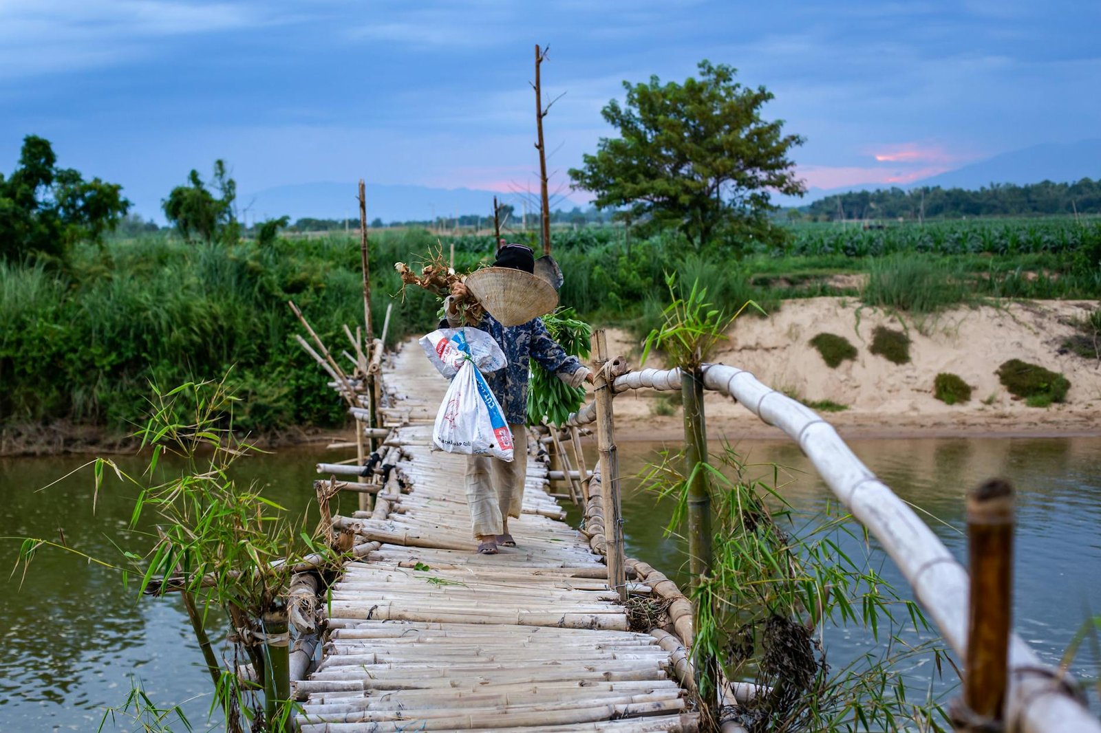 Marché flottant Vietnam