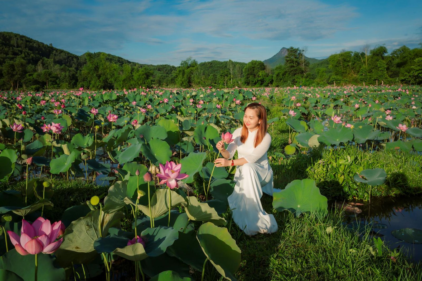 Rue de Hoi An Vietnam