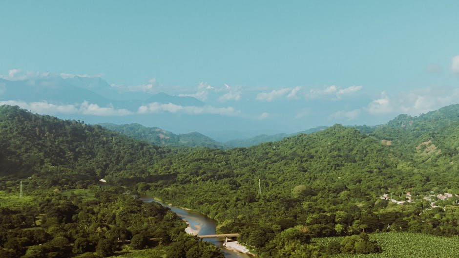 Collines verdoyantes et riviere sinueuse pres de Palomino en Colombie
