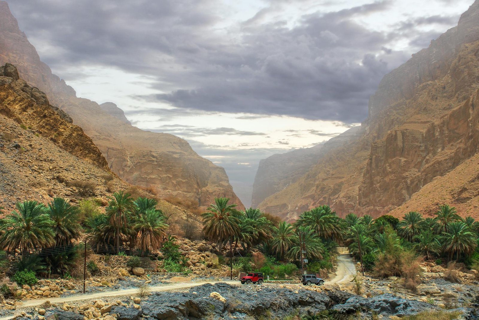 Oman m’a scotché : wadis secrets, désert et côte sauvage en 7 jours
